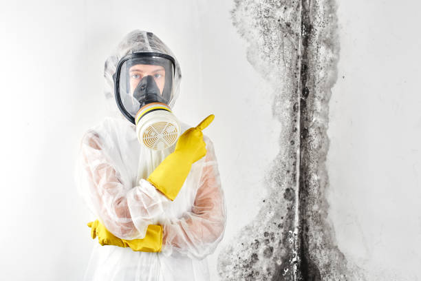 Best Mold Remediation for Healthcare Facilities in South Hill, WA